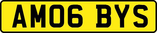 AM06BYS