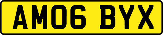 AM06BYX