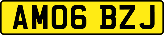 AM06BZJ
