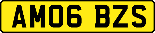 AM06BZS
