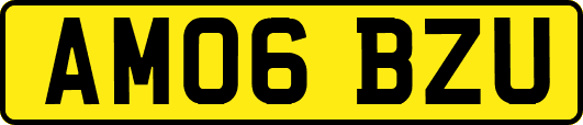 AM06BZU
