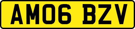 AM06BZV