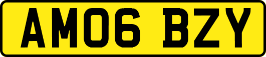 AM06BZY