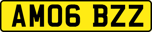 AM06BZZ