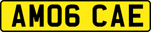 AM06CAE