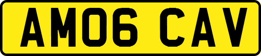 AM06CAV