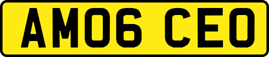 AM06CEO
