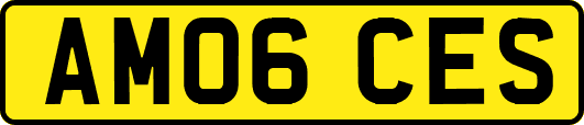 AM06CES