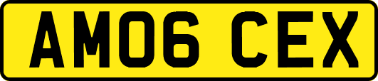AM06CEX