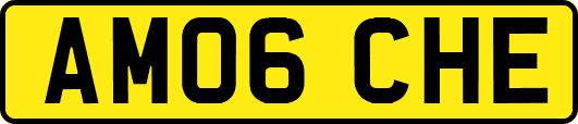 AM06CHE