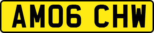 AM06CHW