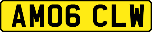 AM06CLW