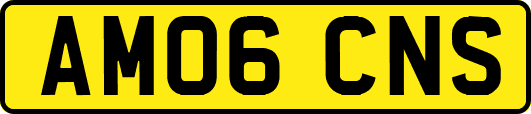 AM06CNS
