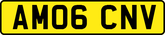 AM06CNV