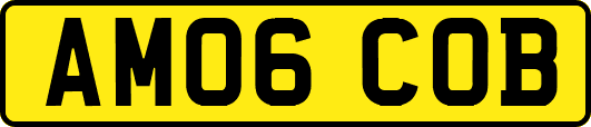 AM06COB
