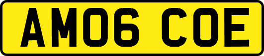 AM06COE