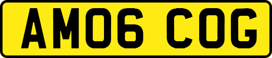 AM06COG