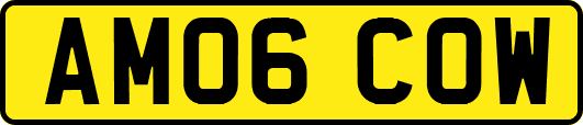 AM06COW
