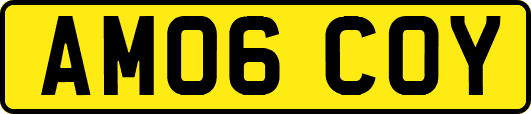AM06COY