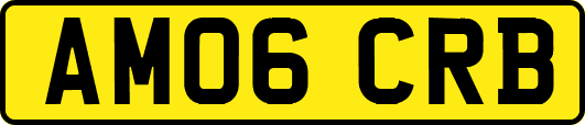 AM06CRB
