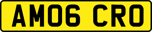 AM06CRO