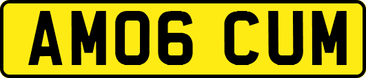 AM06CUM