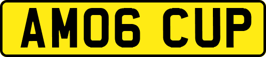 AM06CUP