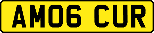 AM06CUR