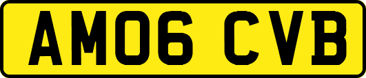 AM06CVB