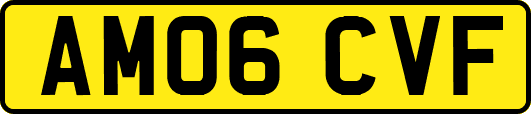 AM06CVF