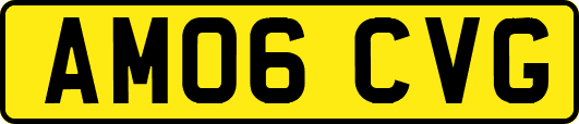 AM06CVG