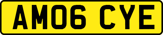AM06CYE