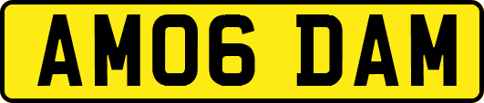 AM06DAM
