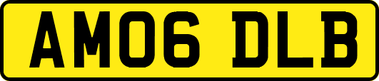 AM06DLB