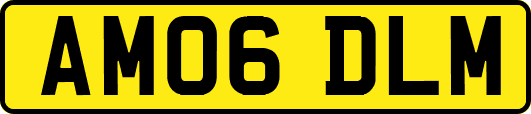 AM06DLM