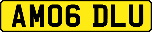 AM06DLU