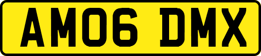 AM06DMX