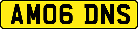 AM06DNS