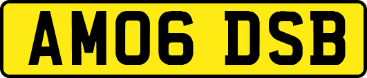AM06DSB