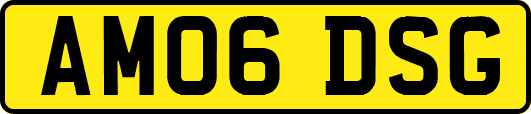 AM06DSG