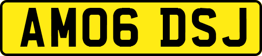AM06DSJ