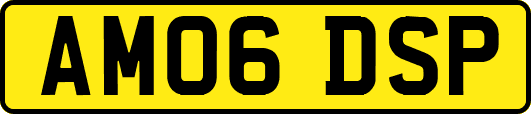 AM06DSP