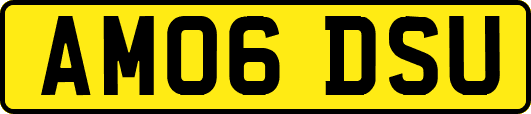 AM06DSU