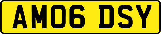 AM06DSY