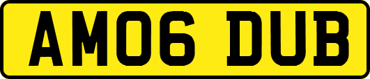 AM06DUB