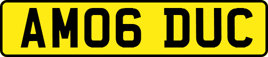 AM06DUC