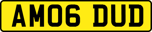 AM06DUD