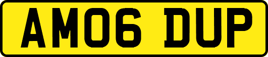 AM06DUP