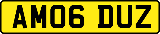AM06DUZ
