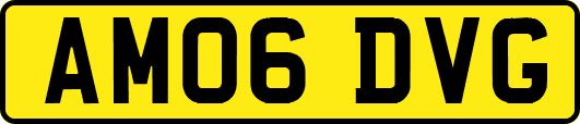 AM06DVG